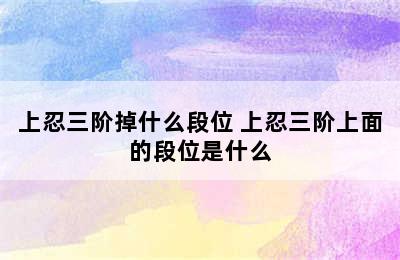 上忍三阶掉什么段位 上忍三阶上面的段位是什么